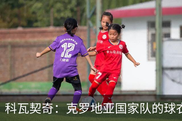 科瓦契奇：克罗地亚国家队的球衣，对我们而言是神圣的